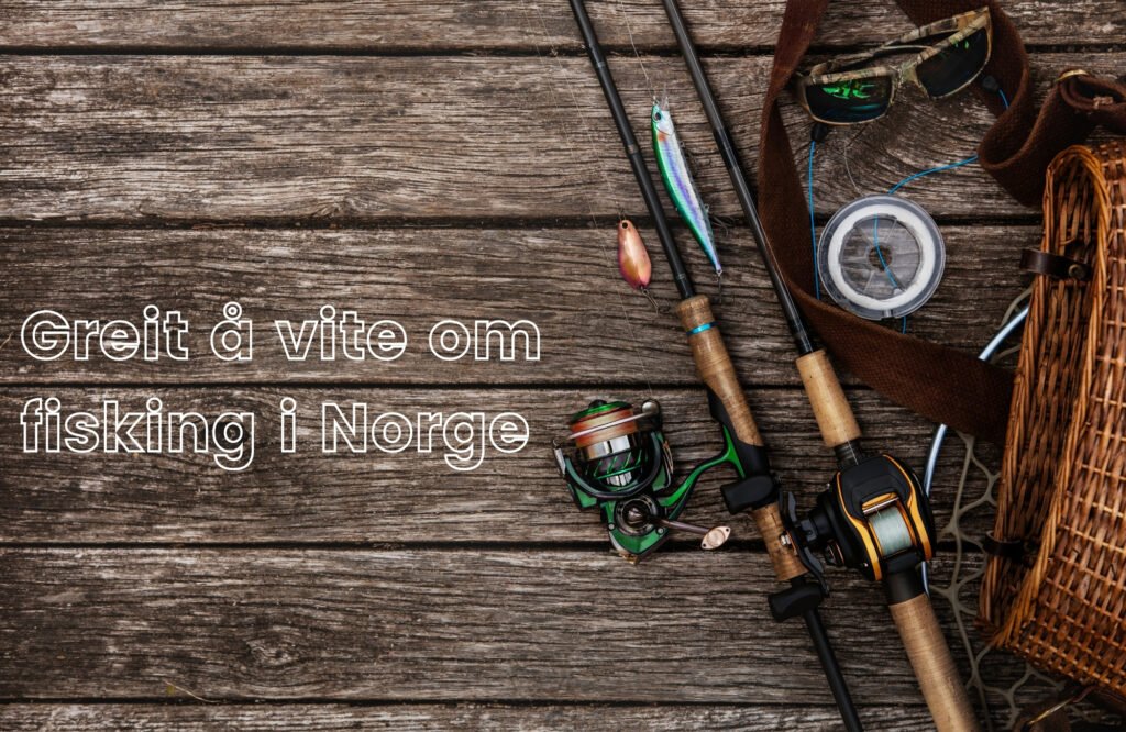 fiskestang og informasjon om fisking i norge
