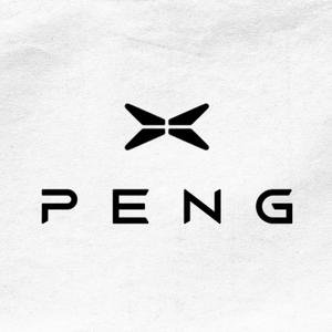 XPeng bil logo
