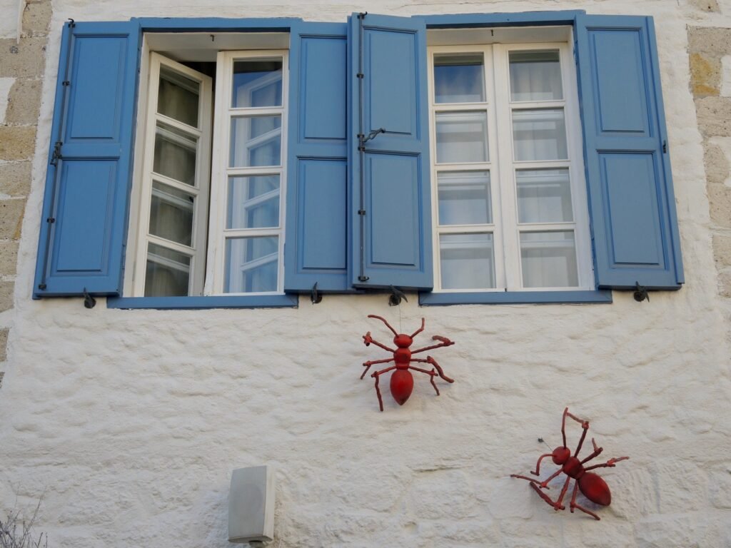 Artistic decoration on a wall with windows