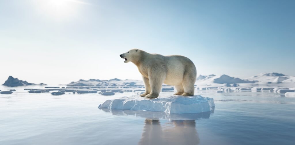 Isbjørn på en liten istapp - etterfølger av global oppvarming